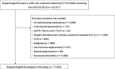 Association between atherogenic dyslipidemia and muscle quality defined by myosteatosis